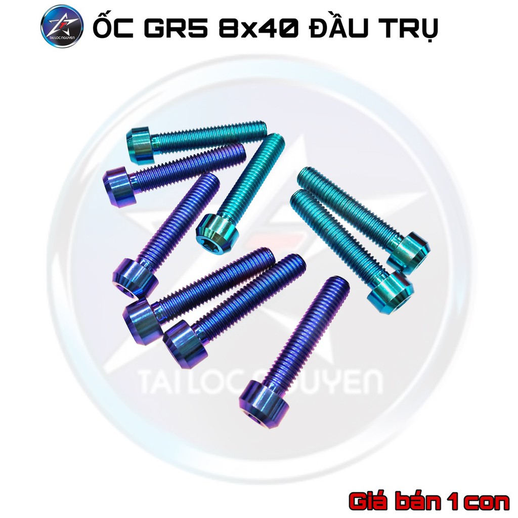 ỐC GIỮ HEO DẦU B..REM/GÁC CHÂN TITANIUM GR5 8x40