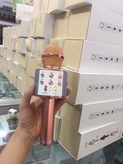 Mic hát karaoke WS 858
