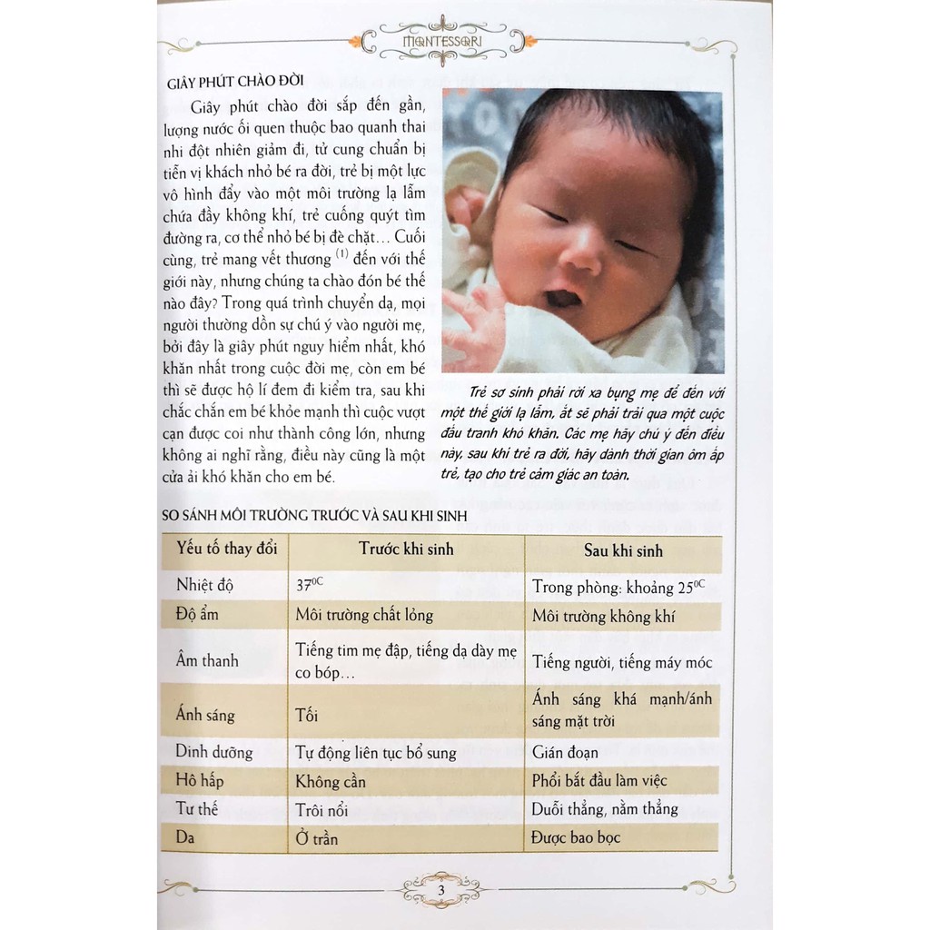 Sách: Combo Phương Pháp Giáo Dục Montessori (3 Cuốn)