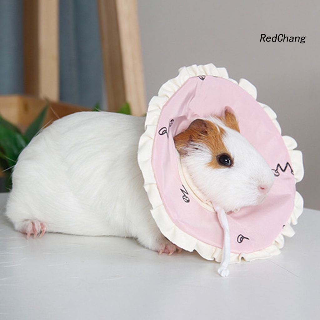 Vòng Cổ Bảo Vệ Chống Liếm Dành Cho Chuột Hamster