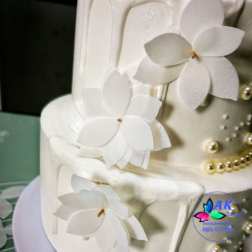SET 50 HOA GIẤY GẠO CẮT SẴN