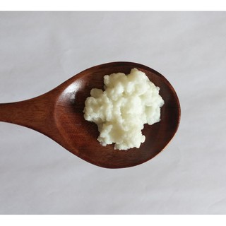 Nấm sữa chua Kefir