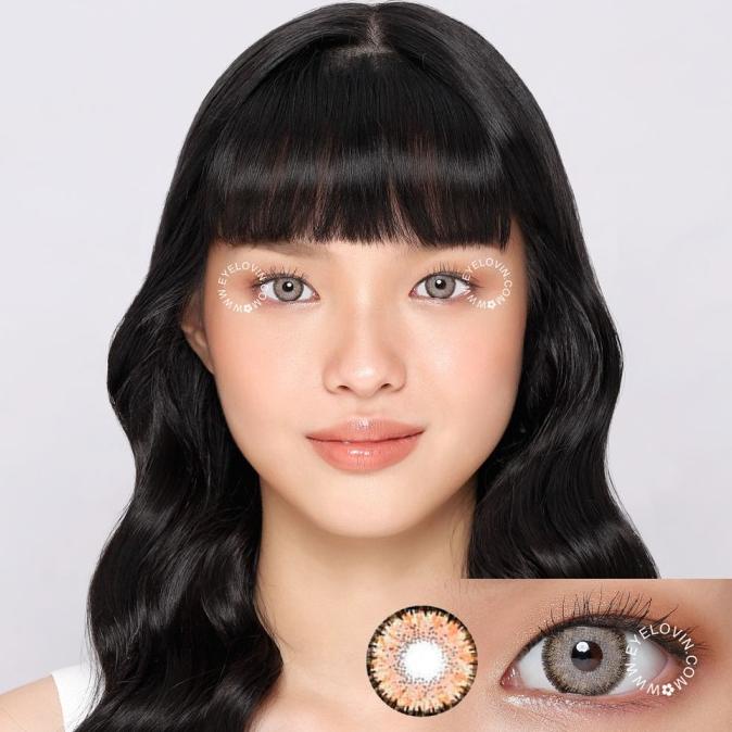 Dreamcolor I - Matake Brown Softlens