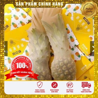 [Freeship đơn từ 50k ] Quần tất dứa siêu dai, siêu bền, không bị rút chỉ
