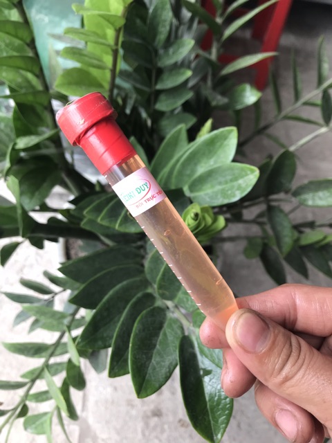 Combo sản phẩm đủ bộ cho hoa Lan (6 sản phẩm)