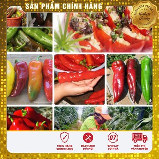 Hạt Giống Ớt Sừng Ngọt