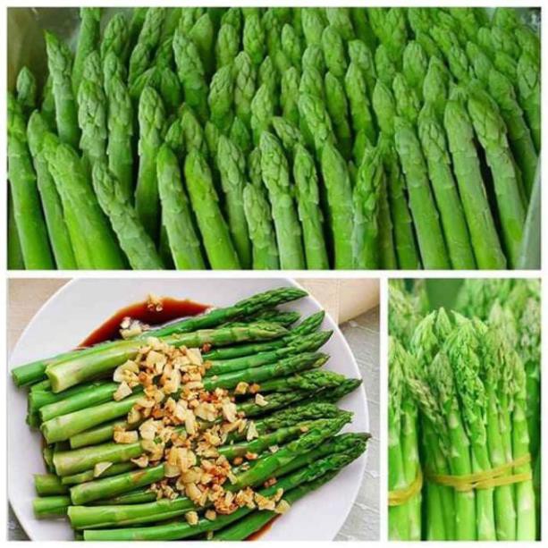 Cây Măng Tây Mỹ