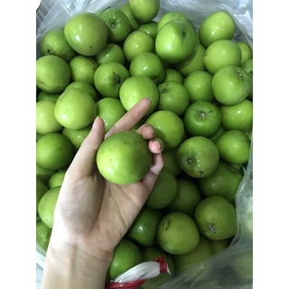 Táo ninh thuận loại 1 to giòn ngọt