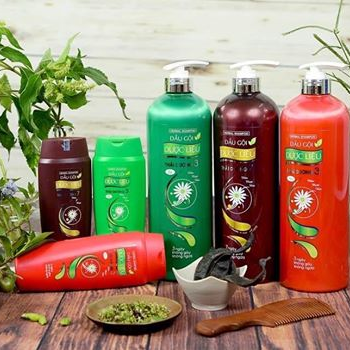 SAO THÁI DƯƠNG _ CHÍNH HÃNG