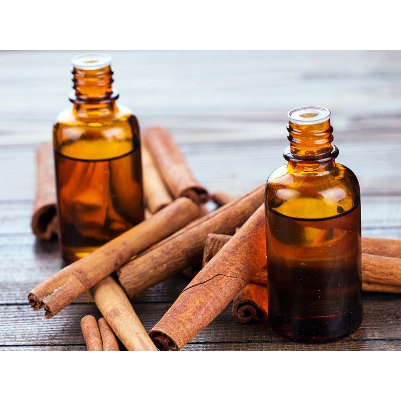 Tinh dầu quế nguyên chất ( Cinnamon Essential Oil ) GUTY