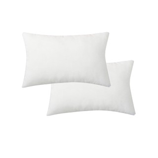 Combo 2 ruột gối nằm 45cm x 65cm - 0,7 kg (Trắng)