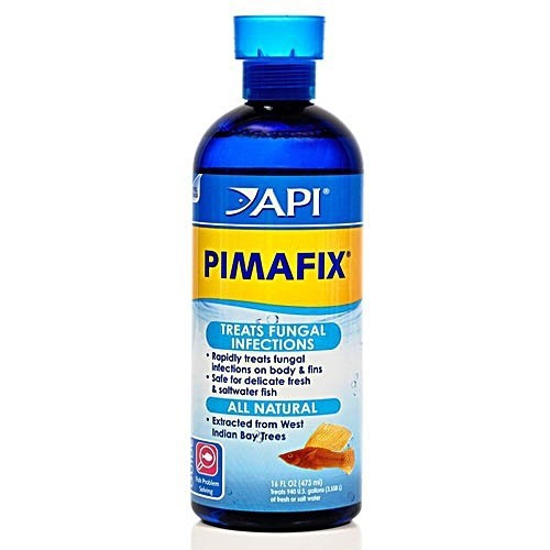 Dung Dịch đặc trị API PIMAFIX Mỹ 118ml