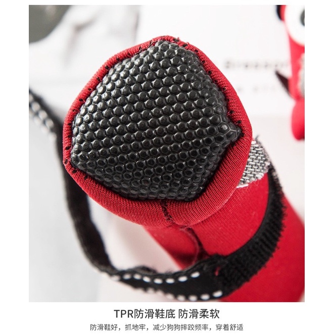 Bộ giày cao cấp cho thú cưng