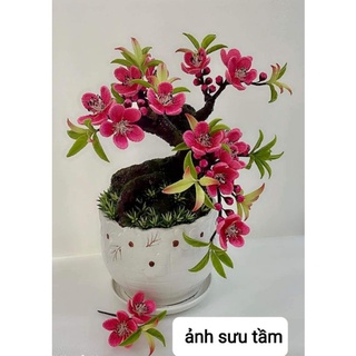 Nụ đào đậm (100sp).Sản phẩm loại 1