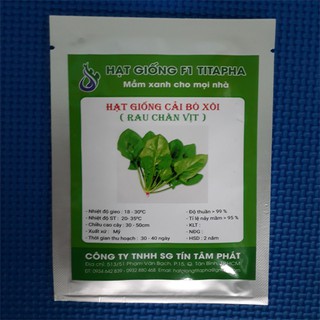 Hạt giống cải bó xôi ( rau chân vịt ) - Nảy mầm cực chuẩn