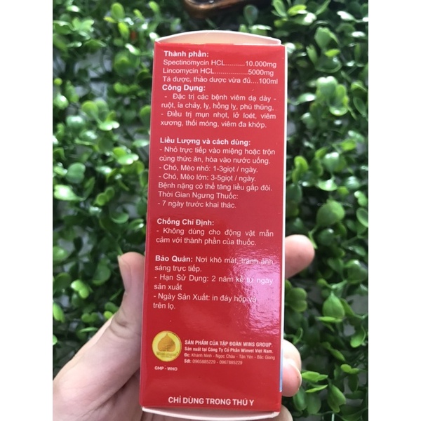 Đặc trị tiêu chảy- nôn mửa / trợ sức - tăng lực Win group