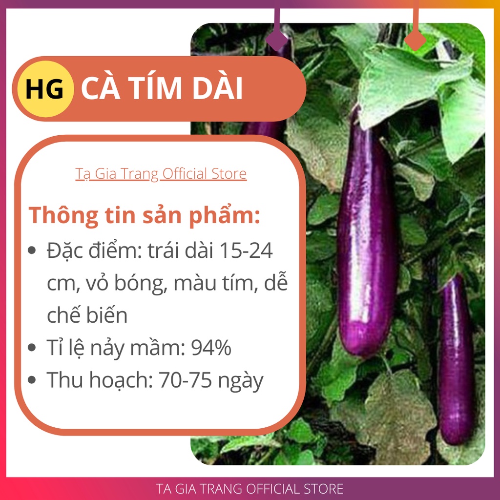 Hạt giống cà tím dài ruột xanh (cà nâu cơm xanh)