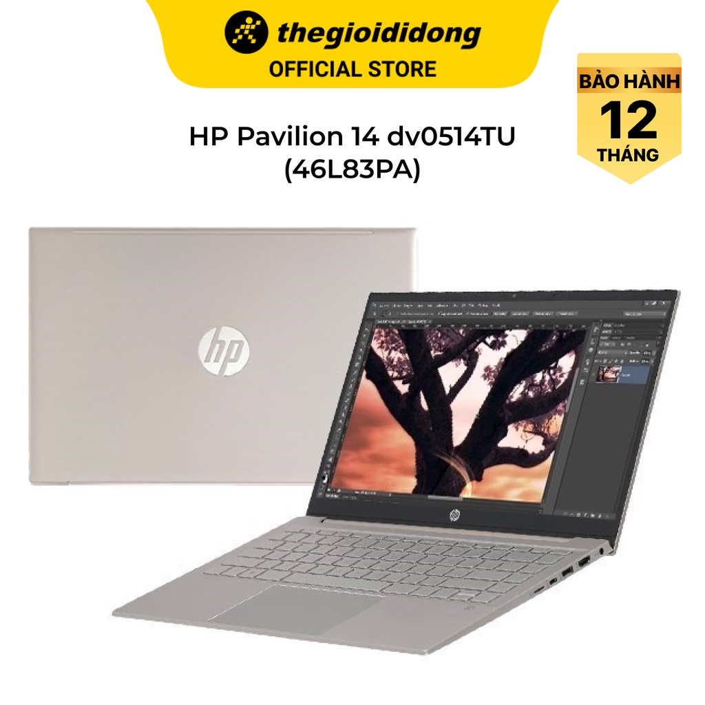 Laptop HP Pavilion 14 dv0514TU i3 1125G4/4GB/512GB/14"F/Win11/(46L83PA)/Vàng