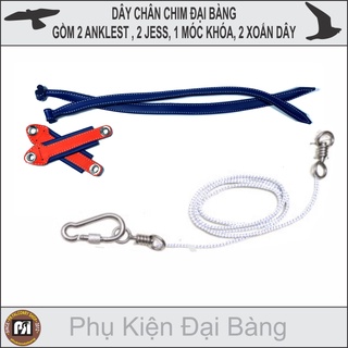 DÂY DA CHIM ĐẠI BÀNG