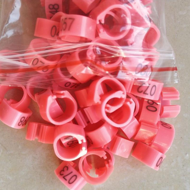 Set 50 Vòng Kẹp Số.001-050 8mm Hình Chim