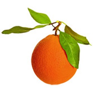 HOẠT CHẤT MỸ PHẨM- VITAMINE C  Aroma-zone Pháp
