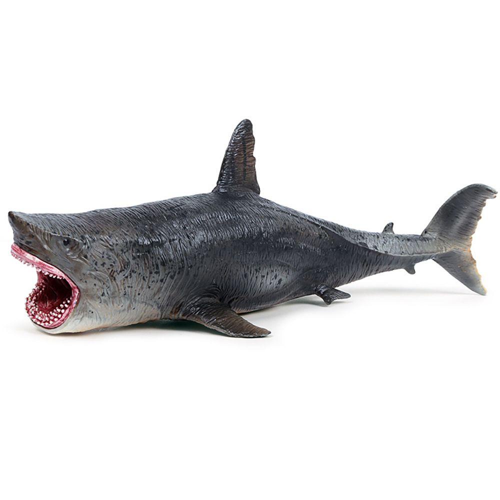 Mô Hình Megalodon Đồ Chơi Nhận Biết Giáo Dục Sớm Cho Bé