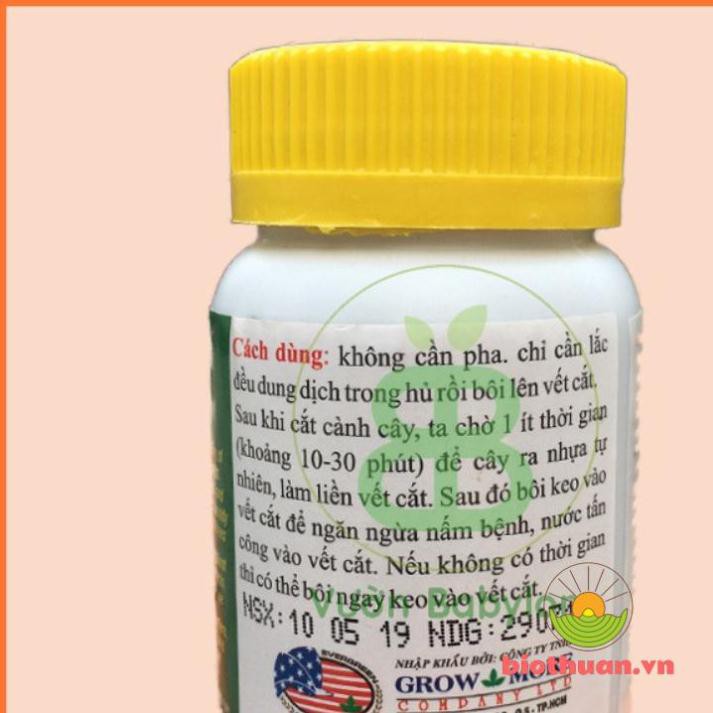 Keo trét cây sứ Keo Liền Da Mỹ Morrison 100g