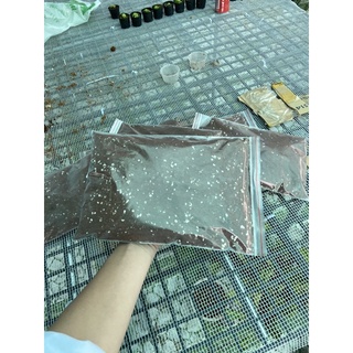 Xơ dừa mix đá perlite ( trồng được 4 chậu 7x7) giá thể trồng cây bắt mồi