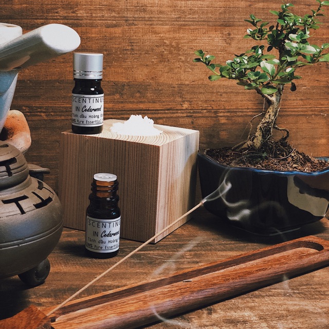 TINH DẦU HOÀNG ĐÀN ( CEDARWOOD )