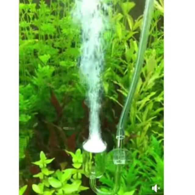 Combo sủi oxy siêu mịn