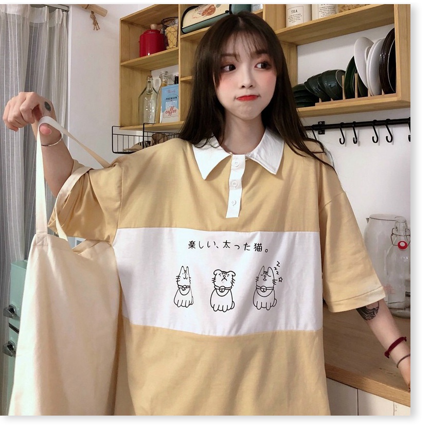 Áo thun nữ cổ bẻ form rộng tay lỡ mèo KUL