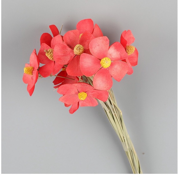 Hoa Cúc cánh bướm handmade Sấy Khô, Hoa khô decor trang trí