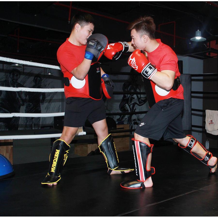 Combo Găng Tay Đấm Bốc Boxing BN + Đích Đấm Đá Cầm Đỡ Bàn Tay Tập Võ BN Chính Hãng - Bảo hành 12 tháng