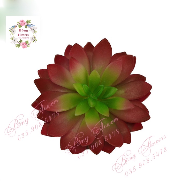 🍀Hoa Giả - Hoa Sen Đá Giả Đường Kính Bông 12 cm