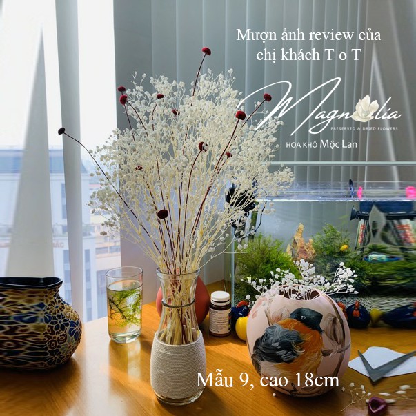 Lọ thủy tinh cắm hoa 🍁FREESHIP🍁 Lọ hoa quán thừng decor xinh xắn phong cách Bắc Âu Vintage