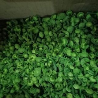 700gr nụ tam thất bao tử thượng hạng