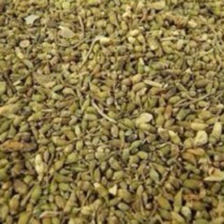 Hoa hoè sao vàng hạ thổ