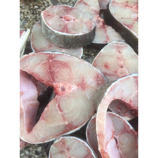 Cá biển, Cá bớp tươi ngon , cấp đông -0.5kg