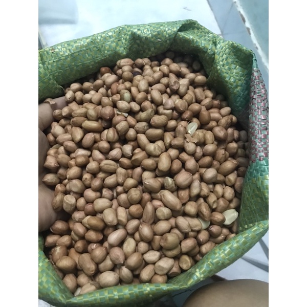 Đậu phộng cội sống 500gr/1kg