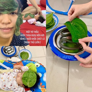 Bếp hơ điện