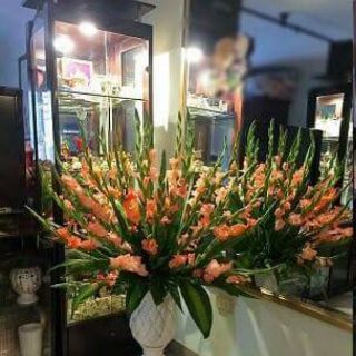 Combo 5 củ hoa lay ơn