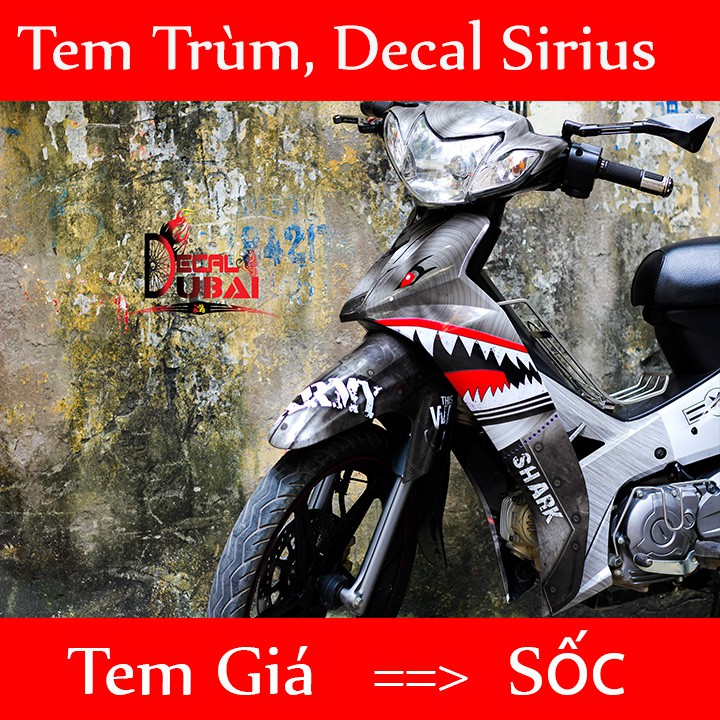 Hàng Chất Tem Trùm Sirius Cá Mập