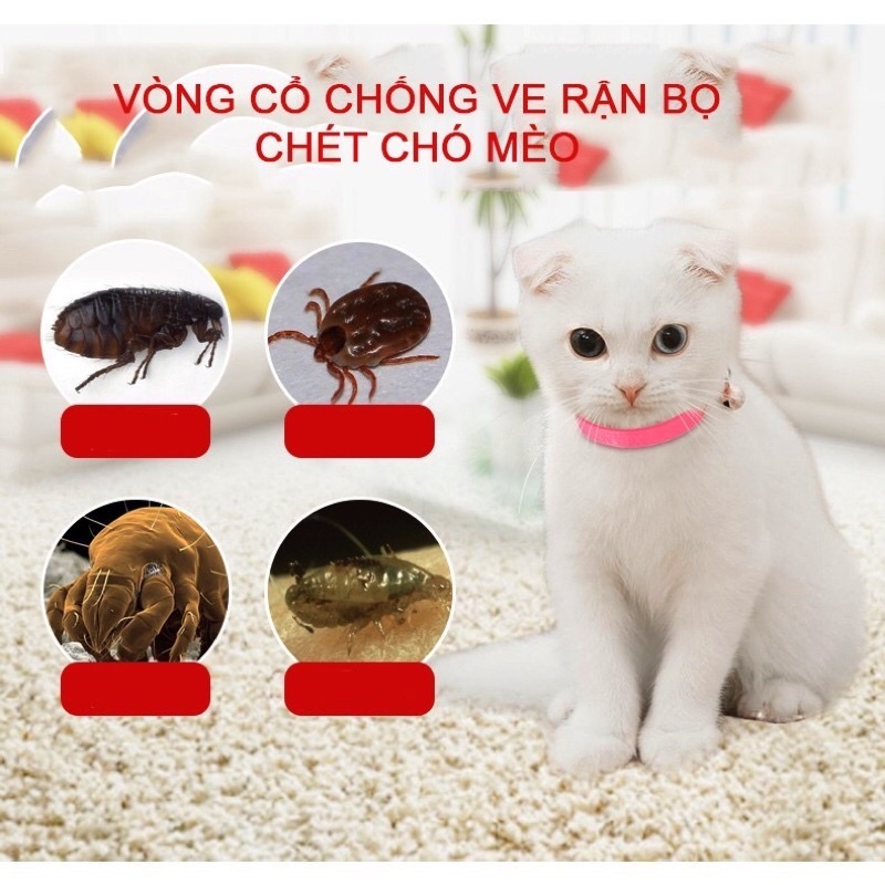 Vòng cổ đeo trị, ngừa ve, rận, bọ chét ở chó mèo
