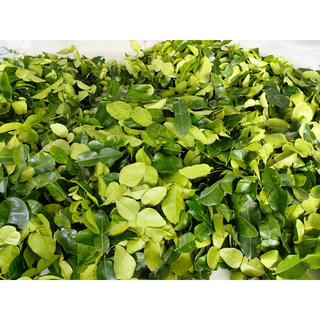 La chúc tươi 100g giá 20k