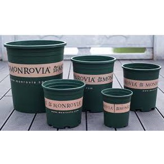 Combo 5 chậu trồng hoa Monrovia 5 size (số 1+1,5+2+3+5Gal)