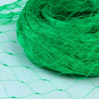 Lưới Chống Chim Đậu Phá Hoại Cây