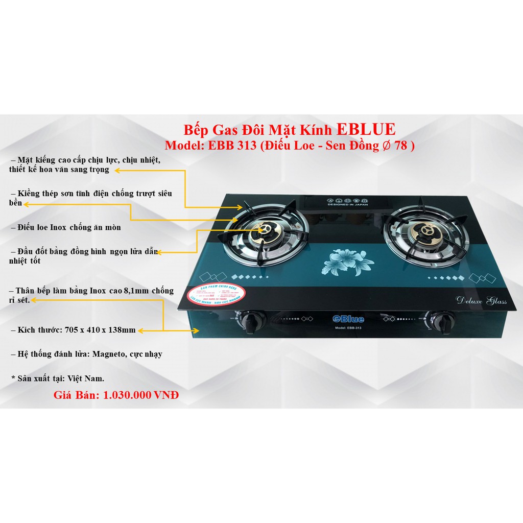 Bếp gas đôi eBlue EBB313