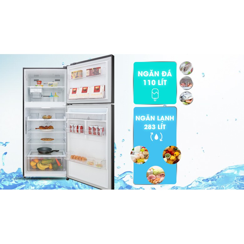 Tủ lạnh LG Inverter 393 lít GN-D422BL (Miễn phí giao tại HCM-ngoài tỉnh liên hệ shop)