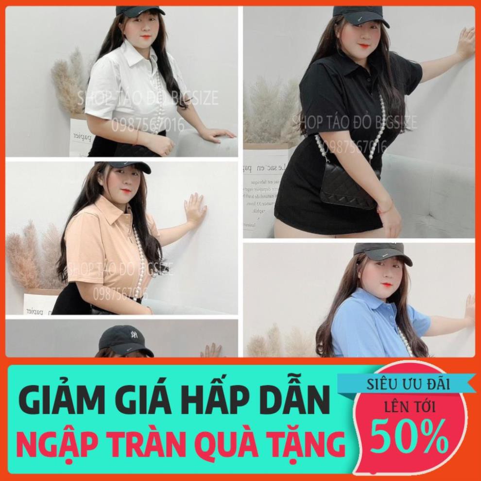 11.11 (TÁO ĐỎ BIGSIZE 55-90KG) ÁO THUN NỮ POLO CROPTOP SIÊU XINH ĐỦ MÀU DỄ PHỐI  ( ẢNH THẬT SHOP CHỤP 100%) 🥰🥰🥰 *