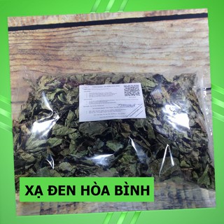 Cây Xạ Đen Rừng ( Xạ Đen Hòa Bình )